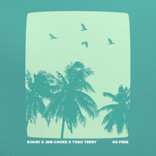 Kokiri, Jem Cooke, Todd Terry - So Free.flac