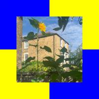 Ross from Friends - Burner.flac