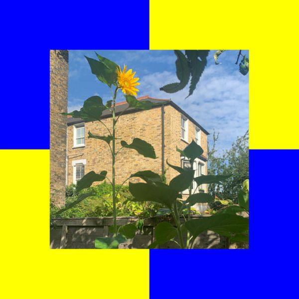 Ross from Friends - Burner.flac