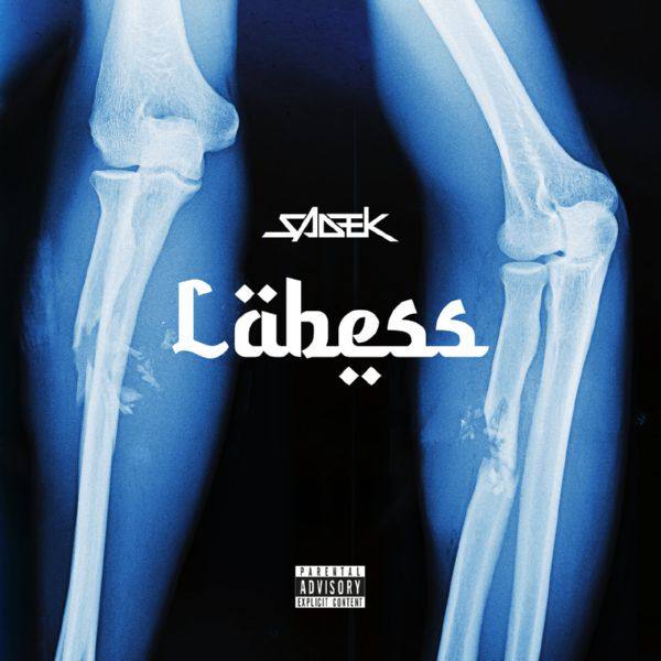 Sadek - Labess.flac