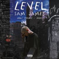 Sam James, Holy Modee, MRKS - Level.flac