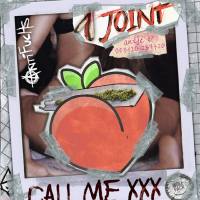 Antifuchs - 1 Joint.flac