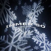 Mo$art, Osaka88 - Immer So.flac