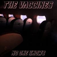 The Vaccines - No One Knows.flac