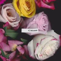 Sir Sly, Gary Clark Jr. - Citizen.flac