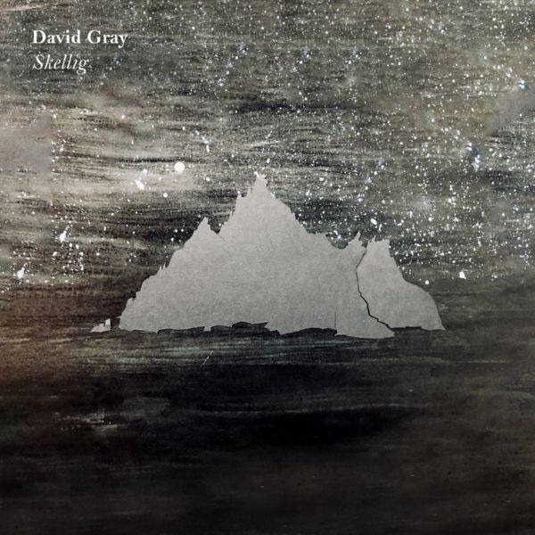 David Gray - Skellig.flac