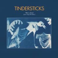Tindersticks - Man Alone (Can't Stop the Fadin').flac