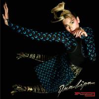 Dua Lipa - Physical.flac