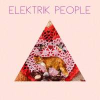 Elektrik People - Cruel World (2020) FLAC