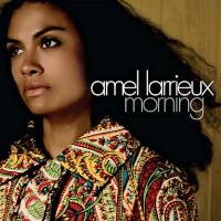 Amel Larrieux - 2006 - Morning FLAC