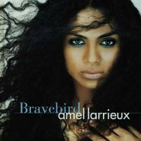 Amel Larrieux - 2003 - Bravebird FLAC