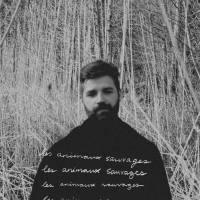 Fantomes - Les animaux sauvages (2020) [Hi-Res stereo]