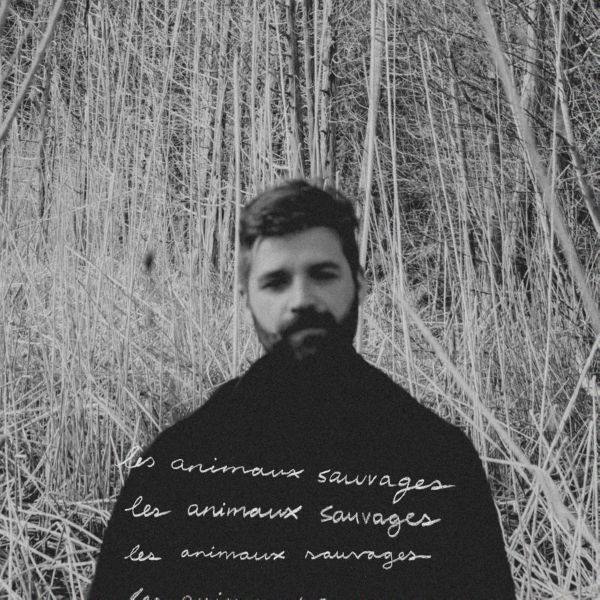 Fantomes - Les animaux sauvages (2020) [Hi-Res stereo]