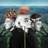 Clean Bandit - What Is Love (Deluxe) (2018) FLAC