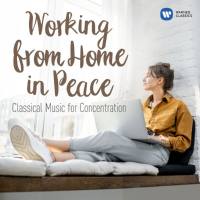 Various Artists - Working from Home in Peace Classical Tunes for Concentration (2020)
