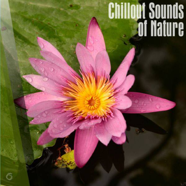 VA - Chillout Sounds Of Nature 2018 FLAC