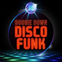 Various Artists - Boogie Down Disco Funk (2020) FLAC