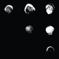 Son Lux - Reincarnates (2020)