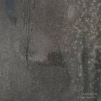 Savoir Adore - Image Tapes Vol. 1 (2020)