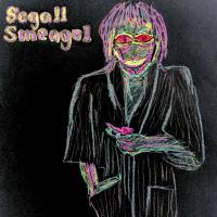 Ty Segall - Segall Smeagol (2020) [FLAC]