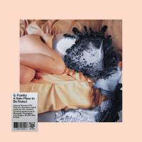 S. Fidelity - A Safe Place To Be Naked (2017) FLAC