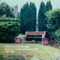 Papernut Cambridge - Archive_ Guitar Instrumentals 1987-89 (2020)