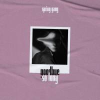 spring gang - Goodbye so Long (2020) [24bit Hi-Res]