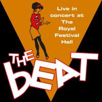 The English Beat - Live in Concert at the Royal Festival Hall (2020)
