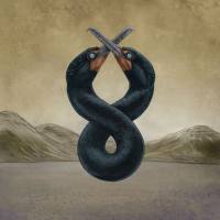 San Fermin - The Cormorant I & II (2020) [Hi-Res stereo]