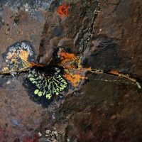 Sebastian Mullaert & Tonhalle Orchestra Zurich - Natthall (2020) [Hi-Res stereo]