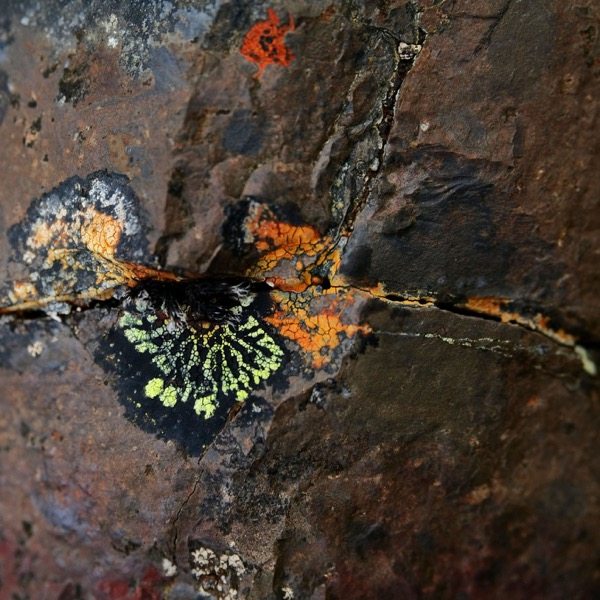 Sebastian Mullaert & Tonhalle Orchestra Zurich - Natthall (2020) [Hi-Res stereo]