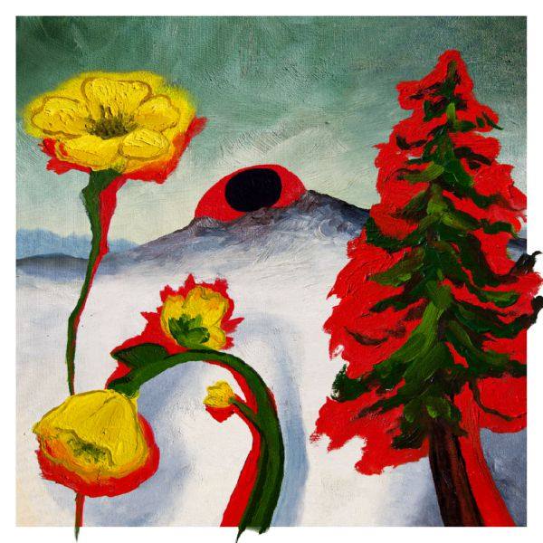 Woods - Strange to Explain (2020) [Hi-Res stereo]