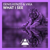 Denis Kenzo & Vika - What I See 2016 FLAC