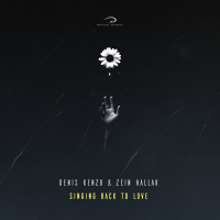 Denis Kenzo & Zein Hallak - Singing Back To Love 2020 FLAC
