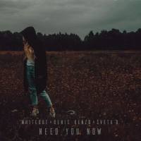 Whiteout X Denis Kenzo X Sveta B. - Need You Now 2020 FLAC