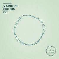 VA - Various Moods 001 [& Other Moods] FLAC-2020