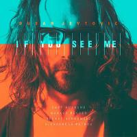 Dusan Jevtovic - 2020 - If You See Me FLAC