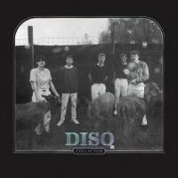 Disq - Collector (2020) [FLAC]