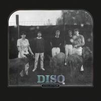 DISQ - Collector (2020)