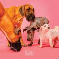 The Lottery Winners - The Lottery Winners (2020) FLAC