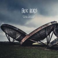 False Heads - It's All There but You're Dreaming (2020)