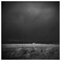 Early Day Miners - Placer Found (2020) [Hi-Res stereo]