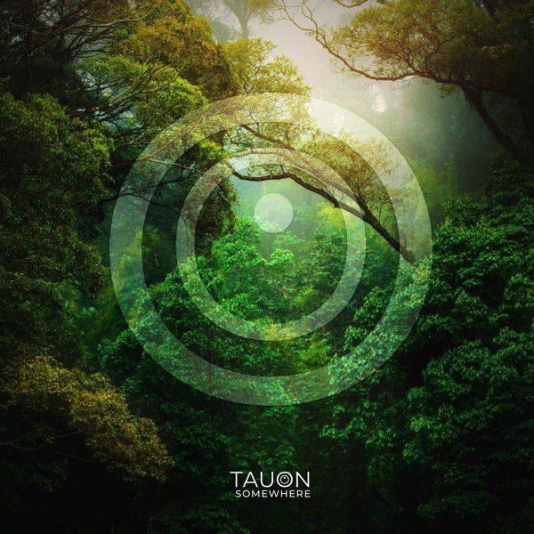 Tauon - Somewhere (2020) FLAC-Hi-Res stereo