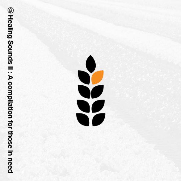 VA - Healing Sounds II_ A Compilation For Those In Need (2020) Hi-Res stereo