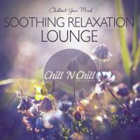 VA - Soothing Relaxation Lounge Chillout Your Mind 2020 FLAC