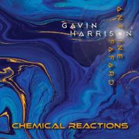 Antoine Fafard & Gavin Harrison - Chemical Reactions FLAC