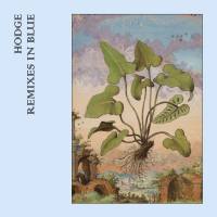 Hodge - Remixes In Blue (2020) Hi-Res