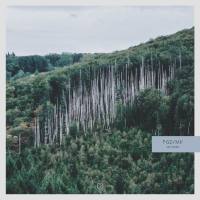 PGD_MV - Morvan (2019)  24-44