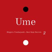 Shigeru Umebayashi - Best Kept Secrets (Part 2) 2020 [Hi-Res stereo]