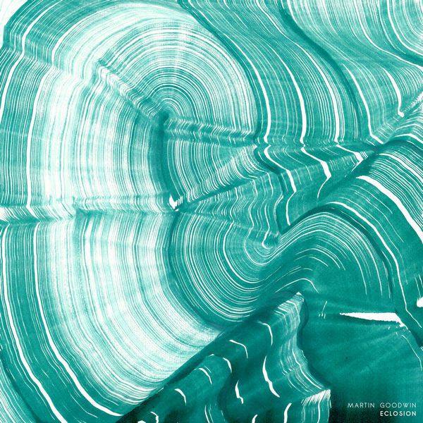 Martin Goodwin - Eclosion (2020)  FLAC-24Bit